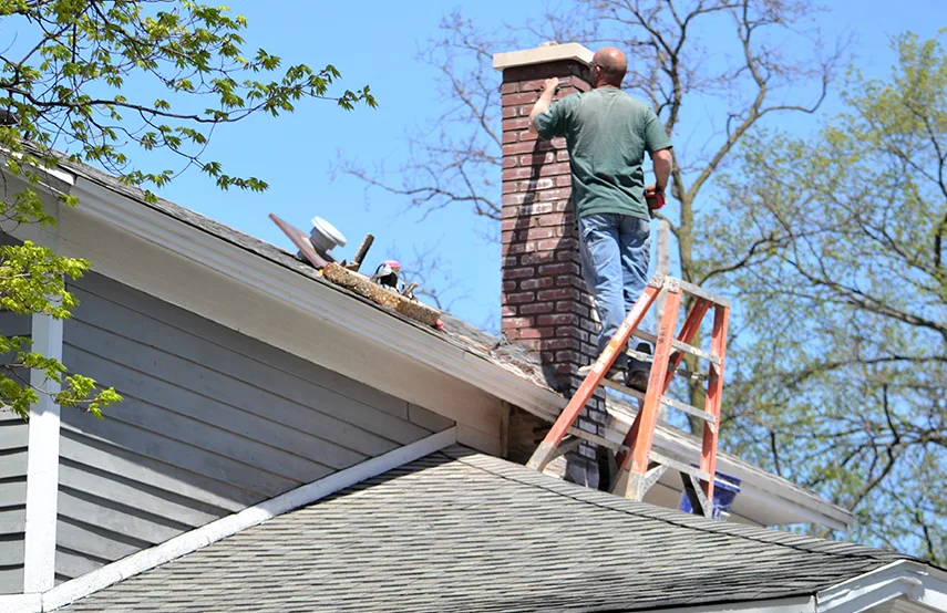 Chimney & Fireplace Inspections Services in Oakleaf Plantation, FL